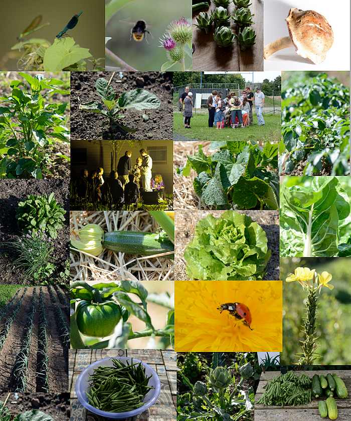 Bio gardins, quelques images de notre jardin ! Venez nous rejoindre.